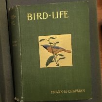 FA2017.3.33 FRONT COVER